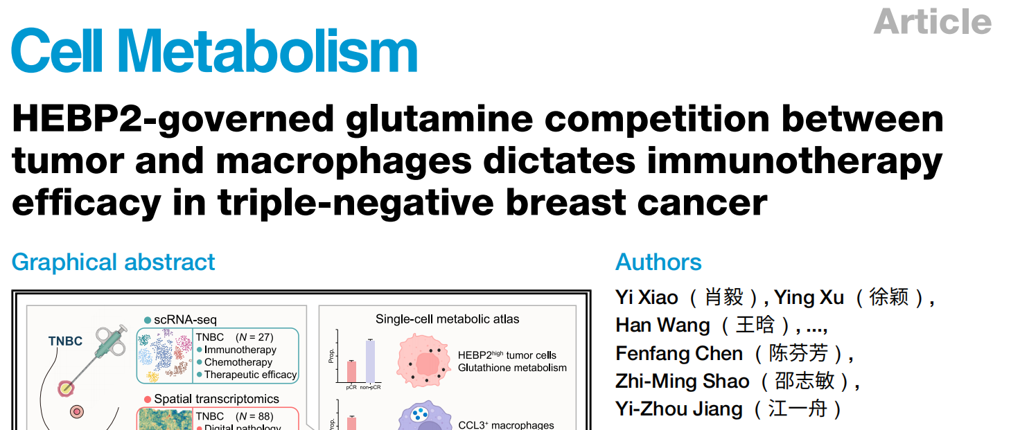 复旦大学附属肿瘤医院