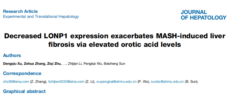 安徽医科大学第一附属医院