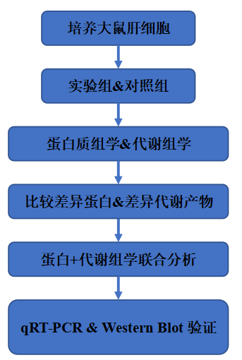 J. Hazard. Mater.（IF=13.6）| 蛋白质组学+代谢组学揭秘硅纳米颗粒对肝细胞代谢的干扰机制(图2)