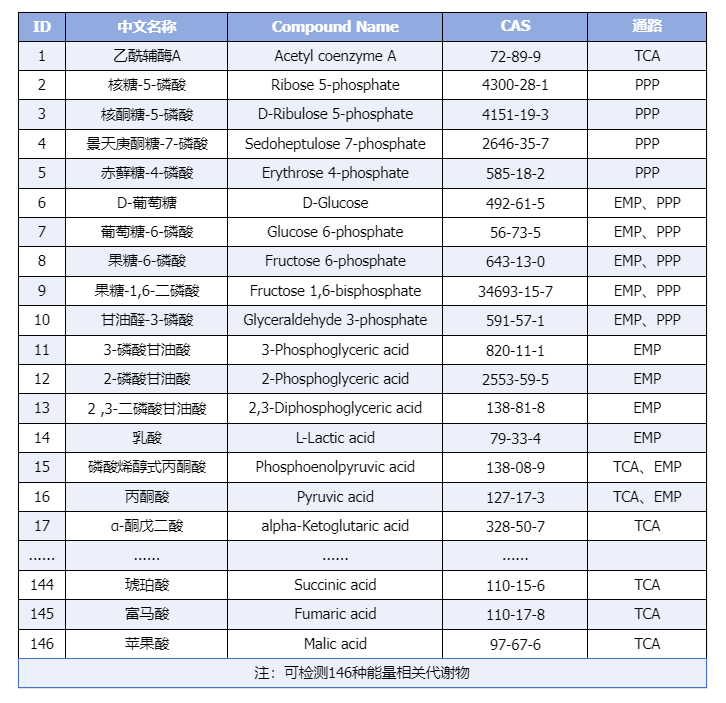 AQ能量代谢.png