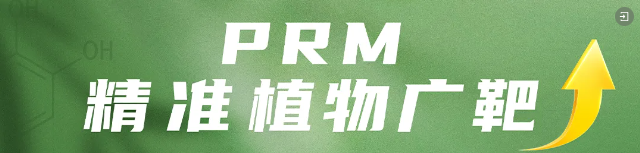 极致性能 超乎预期｜PRM精广·三重聚焦(图1)