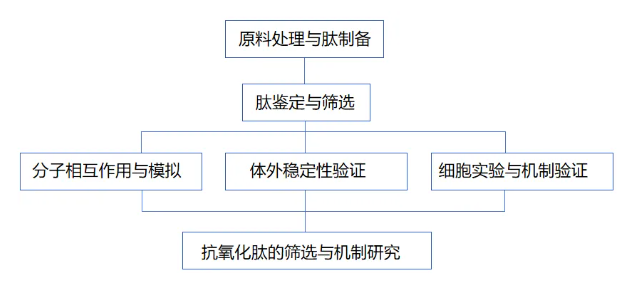Food Res Int. (IF=8.0)｜合工大徐宝才教授团队破解细胞级抗衰密码：家禽血“变身”超级抗氧化剂(图2)