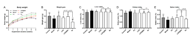 Curr. Res. Food Sci.｜福州大学吕旭聪团队：富硒鼠李糖乳杆菌GG重塑肠-肝轴，显著缓解酒精性肝损伤(图3)