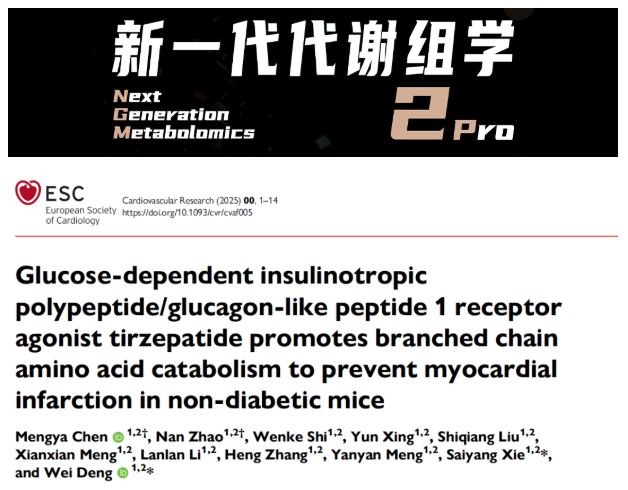 IF=13.3！武大人民医院邓伟教授团队揭示tirzepatide协同低BCAA饮食改善心梗后心功能(图1)