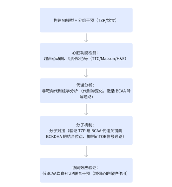 IF=13.3！武大人民医院邓伟教授团队揭示tirzepatide协同低BCAA饮食改善心梗后心功能(图2)