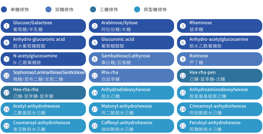 糖基化1.PNG