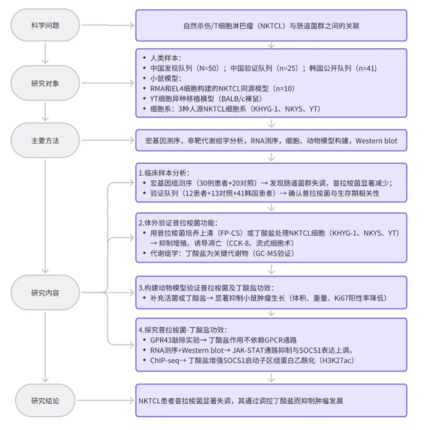 Gut (IF=25.8)｜肠道“隐形卫士”：产丁酸普拉梭菌如何“精准狙击NK/T细胞淋巴瘤？(图2)