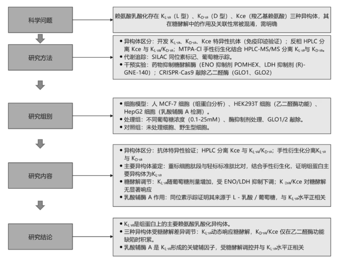 nature子刊｜北大张迪教授团队：赖氨酸L-乳酸化是糖酵解诱导的主要乳酸化异构体(图2)