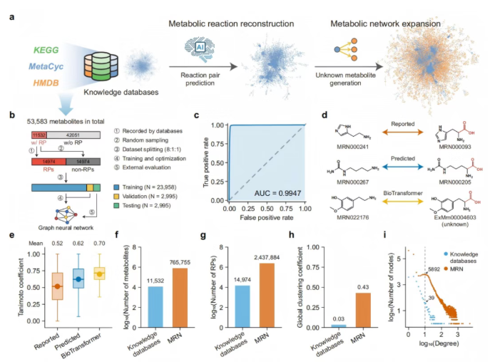 nature子刊｜朱正江研究员团队新成果：MetDNA3-以知识与数据双层代谢网络驱动破解非靶标代谢组学注释难题(图2)