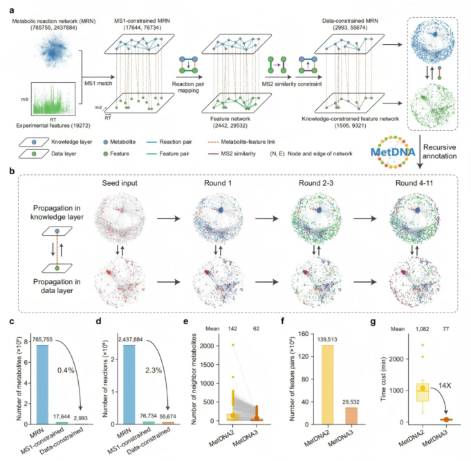 nature子刊｜朱正江研究员团队新成果：MetDNA3-以知识与数据双层代谢网络驱动破解非靶标代谢组学注释难题(图3)