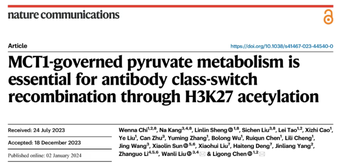 nature子刊｜清华大学研究团队合作揭示MCT1介导的丙酮酸代谢通过H3K27乙酰化调控抗体类型转换重组(图1)