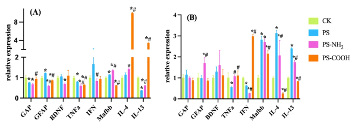 IF=9.7! 中国环境科学研究院团队：不同电荷聚苯乙烯纳米塑料对斑马鱼的性别特异性神经毒性研究(图6)