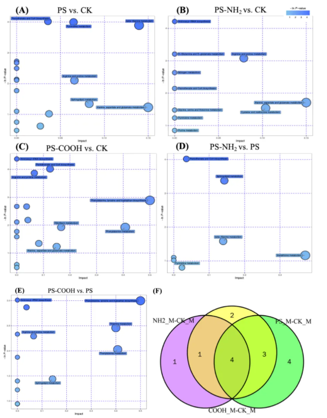 IF=9.7! 中国环境科学研究院团队：不同电荷聚苯乙烯纳米塑料对斑马鱼的性别特异性神经毒性研究(图8)