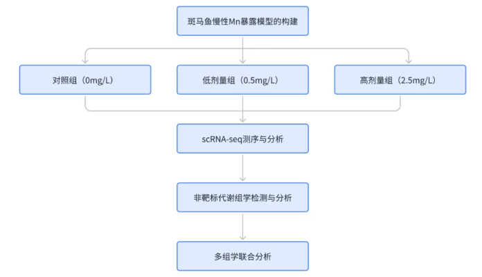 IF=6.2！首医大牛丕业教授团队破译锰神经毒性奥秘：铁死亡通路成关键“突破口”(图2)
