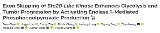 Cancer Res. (IF=16.6)|同济医院陈孝平教授团队:SLKv激活ENO1促糖酵解,ASO精准阻断抑肿瘤(图1) Cancer Res. (IF=16.6)|同济医院陈孝平教授团队:SLKv激活ENO1促糖酵解,ASO精准阻断抑肿瘤(图1)