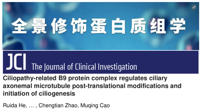IF=13.6!上海交通大学曹木青老师团队新突破:B9复合体双功能解析,揭示纤毛病(JBTS/MKS)的分子分水岭!(图1) IF=13.6!上海交通大学曹木青老师团队新突破:B9复合体双功能解析,揭示纤毛病(JBTS/MKS)的分子分水岭!(图1)
