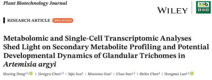 PBJ (IF=10.5)|中国医科院罗红梅团队首次绘制艾草腺毛单细胞图谱!锁定β-石竹烯/法呢烯合酶,揭秘艾草腺毛代谢密码!(图1) PBJ (IF=10.5)|中国医科院罗红梅团队首次绘制艾草腺毛单细胞图谱!锁定β-石竹烯/法呢烯合酶,揭秘艾草腺毛代谢密码!(图1)
