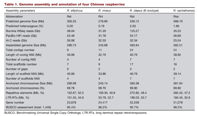 JIPB(IF=9.3)|中科院昆明植物所孙航院士团队首次破解四种野生树莓基因组!(图2) JIPB(IF=9.3)|中科院昆明植物所孙航院士团队首次破解四种野生树莓基因组!(图2)