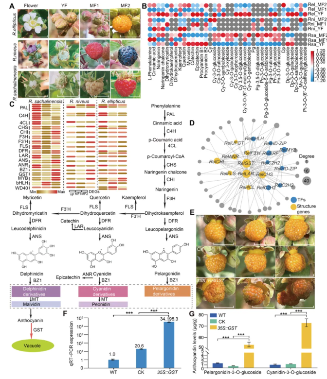 YTT6 - 副本.png YTT6 - 副本.png
