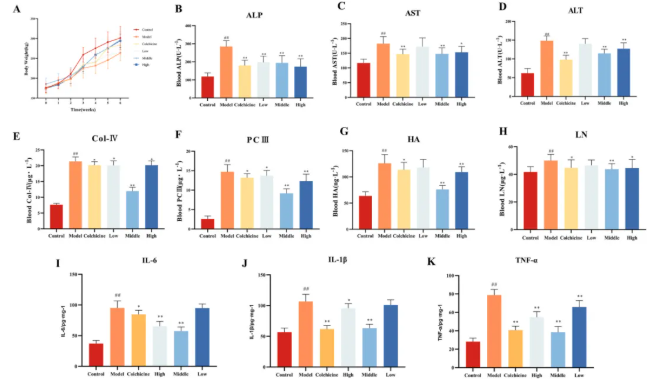 J Ethnopharmacol.|甘肃中医药大学张志红老师团队破解经典药对奥秘，精准阐释当归-白芍药对抗肝纤维化作用机制(图3)