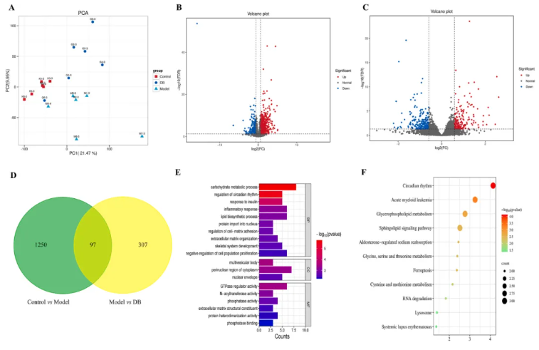 J Ethnopharmacol.|甘肃中医药大学张志红老师团队破解经典药对奥秘，精准阐释当归-白芍药对抗肝纤维化作用机制(图9)