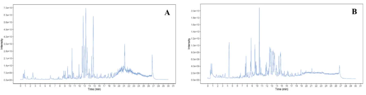 J Ethnopharmacol.|甘肃中医药大学张志红老师团队破解经典药对奥秘，精准阐释当归-白芍药对抗肝纤维化作用机制(图7)