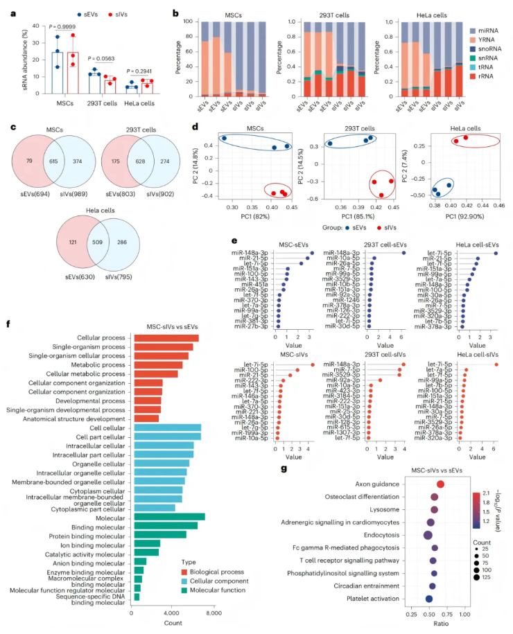 nature子刊(IF=26.6)|小小囊泡竟有大作用，天津医大眼科医院实现网膜保护+药物递送双突破(图5)