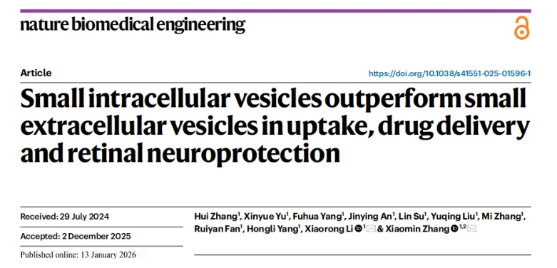 nature子刊(IF=26.6)|小小囊泡竟有大作用，天津医大眼科医院实现网膜保护+药物递送双突破(图1)