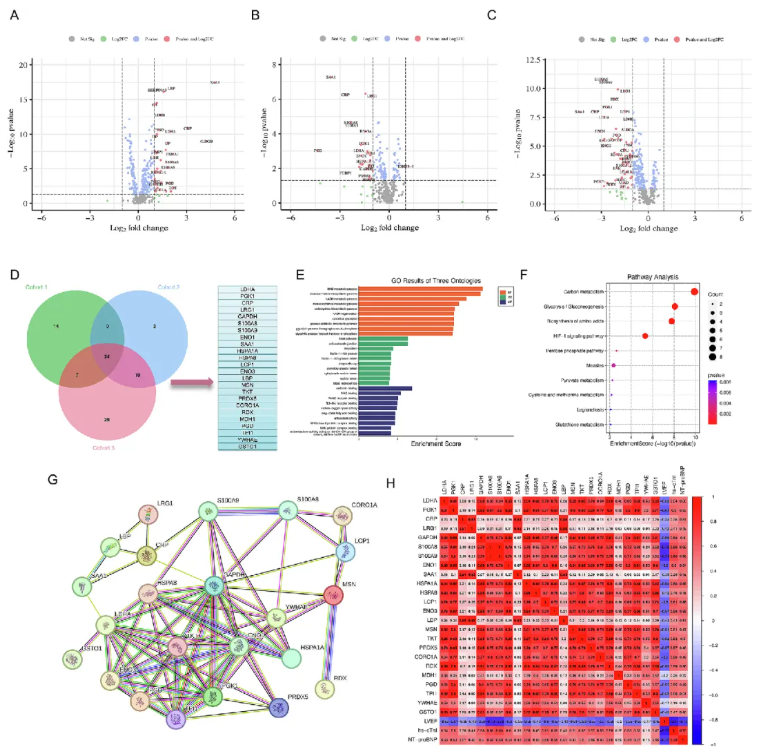 J.Adv.Res.(IF=13)|血浆蛋白质组学赋能：暴发性心肌炎精准诊断与靶向治疗新突破(图4)