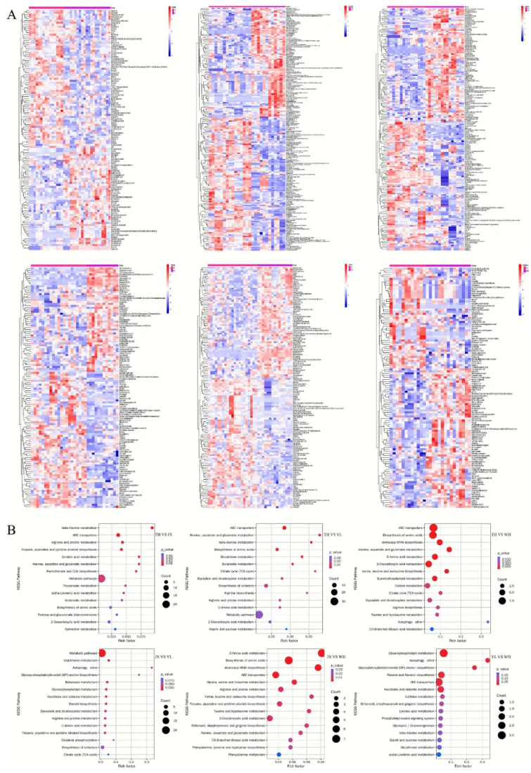 Food Chemistry:X(IF=8.2)|中国热带农业科学院徐兵强团队:电子舌+非靶标代谢组学深度解析黄皮品种代谢差异,揭示黄皮风味密码!(图7) Food Chemistry:X(IF=8.2)|中国热带农业科学院徐兵强团队:电子舌+非靶标代谢组学深度解析黄皮品种代谢差异,揭示黄皮风味密码!(图7)