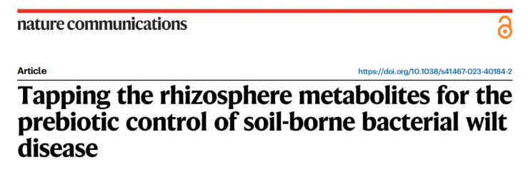 IF=15.7|北京林业大学研究团队破解植物“马太效应”:杨树靠关键基因操控菌群实现生长优势(图1) IF=15.7|北京林业大学研究团队破解植物“马太效应”:杨树靠关键基因操控菌群实现生长优势(图1)