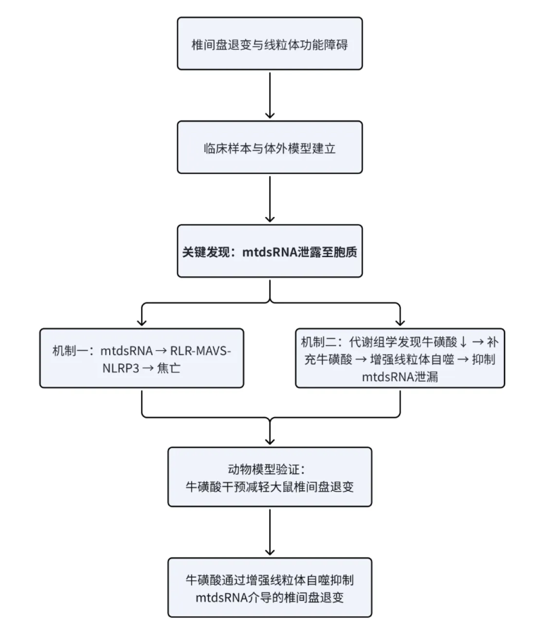 CCS(IF=8.9)|华中科技大学杨操教授团队：牛磺酸通过增强线粒体自噬，抑制mtdsRNA介导的髓核细胞焦亡(图2)