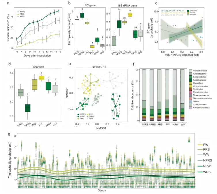 nat.commun.(IF=15.7)|南京农业大学研究团队揭秘:根际代谢物如何智斗青枯菌——益生元防控新策略(图3) nat.commun.(IF=15.7)|南京农业大学研究团队揭秘:根际代谢物如何智斗青枯菌——益生元防控新策略(图3)