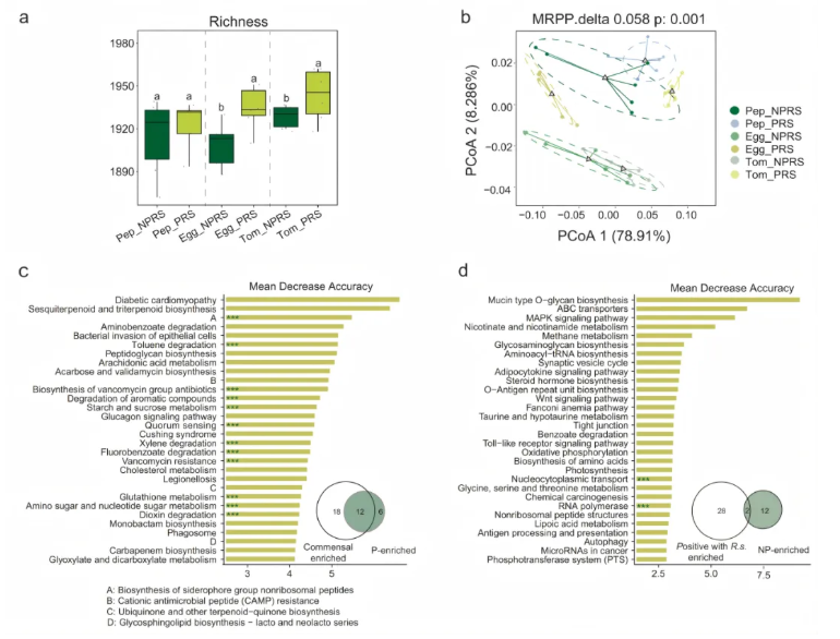 nat.commun.(IF=15.7)|南京农业大学研究团队揭秘:根际代谢物如何智斗青枯菌——益生元防控新策略(图6) nat.commun.(IF=15.7)|南京农业大学研究团队揭秘:根际代谢物如何智斗青枯菌——益生元防控新策略(图6)