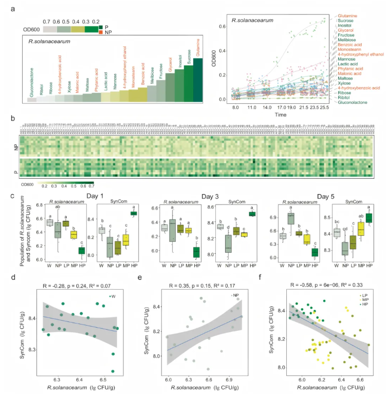 nat.commun.(IF=15.7)|南京农业大学研究团队揭秘:根际代谢物如何智斗青枯菌——益生元防控新策略(图4) nat.commun.(IF=15.7)|南京农业大学研究团队揭秘:根际代谢物如何智斗青枯菌——益生元防控新策略(图4)