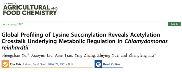 J.Agric.Food Chem.(IF=6.2)|江汉大学胡长峰团队首绘莱茵衣藻赖氨酸琥珀酰化全景图谱，揭秘酰化修饰串扰调控核心代谢的全新机制(图1)