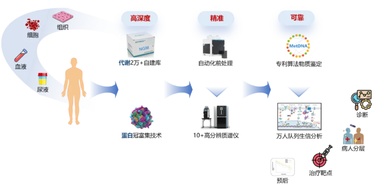 重磅成果上线!百趣生物DBS‑LC‑MS/MS技术助力Lyso GL1和Lyso GL3精准检测(图12) 重磅成果上线!百趣生物DBS‑LC‑MS/MS技术助力Lyso GL1和Lyso GL3精准检测(图12)