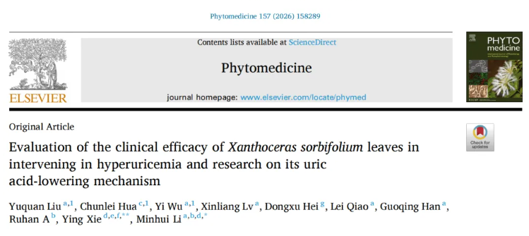 Phytomedicine(IF=11.3)|降尿酸新方案!内蒙古中医医院研究团队发文揭示文冠果叶提取物降尿酸效果媲美非布司他(图1) Phytomedicine(IF=11.3)|降尿酸新方案!内蒙古中医医院研究团队发文揭示文冠果叶提取物降尿酸效果媲美非布司他(图1)
