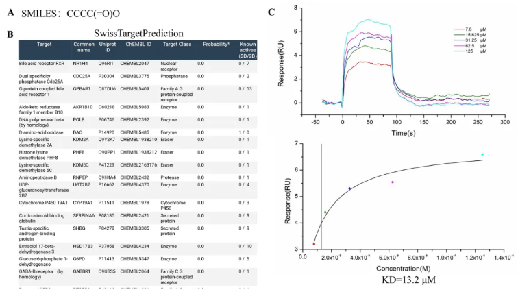 Mol.Med.(IF=8.3)|武汉大学人民医院研究团队：TGR5/β-arrestin2介导丁酸钠调控巨噬细胞极化(图2)