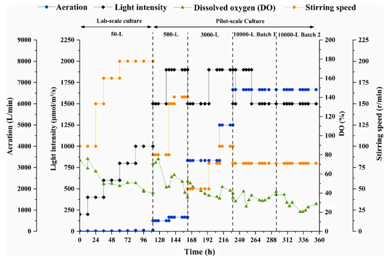 Bioresour Technol.(IF=8.2)|非无菌、低成本、高蛋白—华南理工研究团队采用嗜硫红藻中试系统破解高氨氮废水处理难题！(图3)