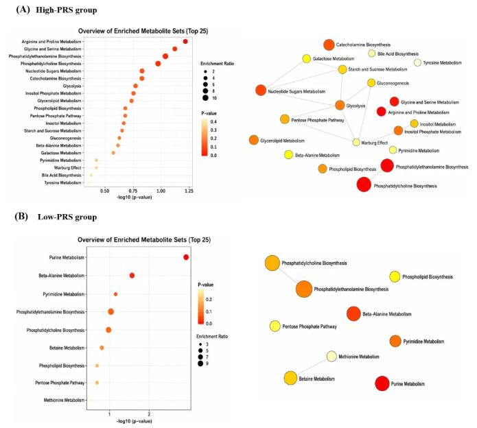 Aging Cell(IF=7.7)|抗衰老也分人：北大徐美虹团队揭示尿酸基因风险调控外源性核苷酸抗衰老效应的多组学证据(图7)