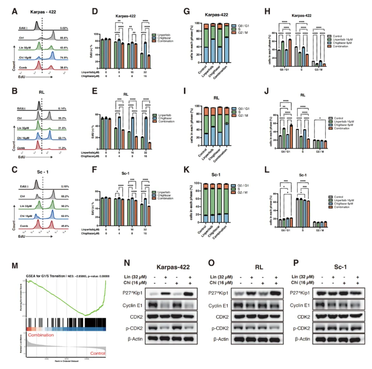 Cell Death Dis.(IF=12.2)|厦门大学徐兵教授团队解锁滤泡性淋巴瘤治疗新策略：PI3Kδ与PPARα双靶向重塑代谢激活FoxO1(图4)