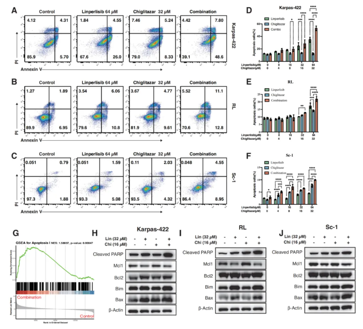 Cell Death Dis.(IF=12.2)|厦门大学徐兵教授团队解锁滤泡性淋巴瘤治疗新策略：PI3Kδ与PPARα双靶向重塑代谢激活FoxO1(图3)
