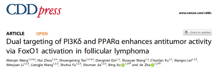 Cell Death Dis.(IF=12.2)|厦门大学徐兵教授团队解锁滤泡性淋巴瘤治疗新策略：PI3Kδ与PPARα双靶向重塑代谢激活FoxO1(图1)
