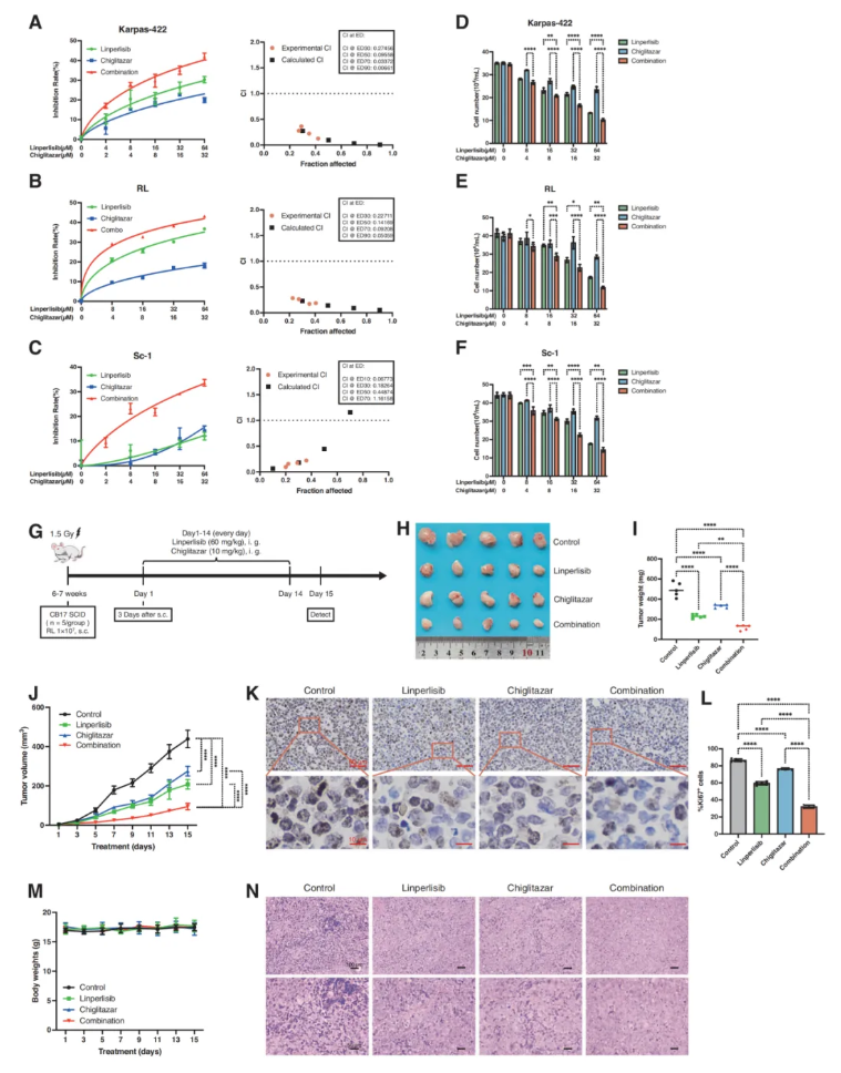 Cell Death Dis.(IF=12.2)|厦门大学徐兵教授团队解锁滤泡性淋巴瘤治疗新策略：PI3Kδ与PPARα双靶向重塑代谢激活FoxO1(图2)