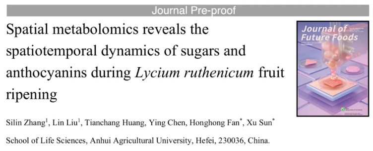 J.Future Foods(IF=10.6)|安徽农业大学孙旭/樊洪泓团队破解黑果枸杞糖类与花青素时空分布之谜！(图1)