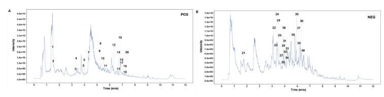 Phytomedicine(IF=11.3)|南中医研究团队揭示仙连解毒汤靶向Plaur抑制结直肠癌肝转移的分子机制！(图3)
