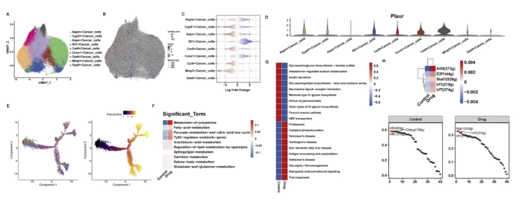 Phytomedicine(IF=11.3)|南中医研究团队揭示仙连解毒汤靶向Plaur抑制结直肠癌肝转移的分子机制！(图6)