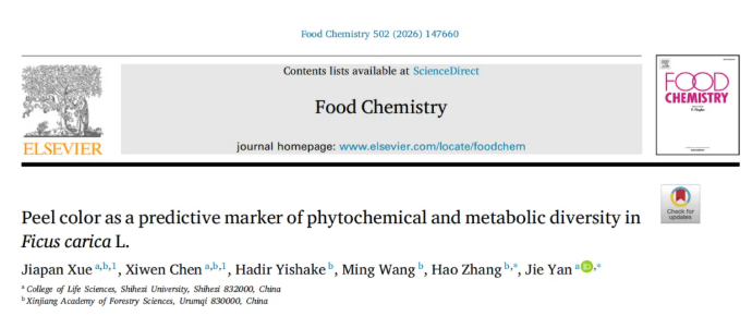 Food Chemistry(IF=10.4)|颜色决定品质?石河子大学研究团队揭秘不同颜色无花果的代谢之谜!(图1) Food Chemistry(IF=10.4)|颜色决定品质?石河子大学研究团队揭秘不同颜色无花果的代谢之谜!(图1)